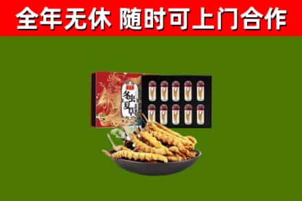 长海回收冬虫夏草价格